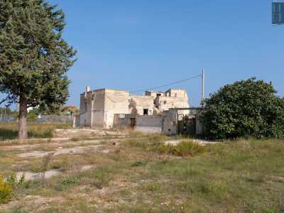 ...attraverso per� un cancello verde � possibile accedere a un'area incolta l� dove sopravvivono un alto abete e un rigoglioso fico 